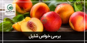 فواید شلیل