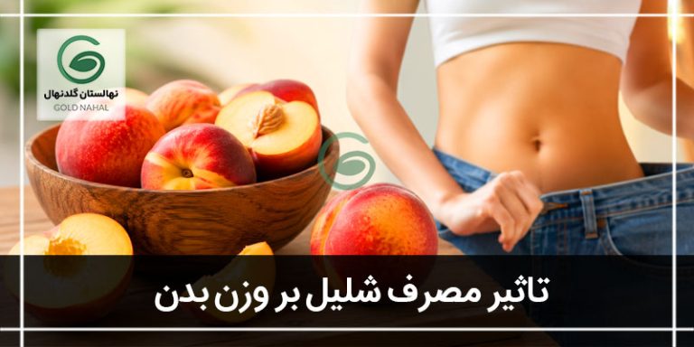 شلیل بر بدن