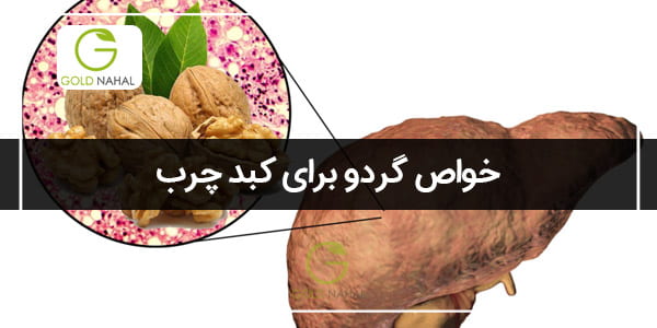 فواید گردو برای کبد