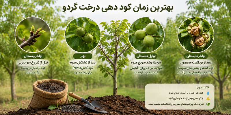 بهترین زمان کوددهی درخت گردو