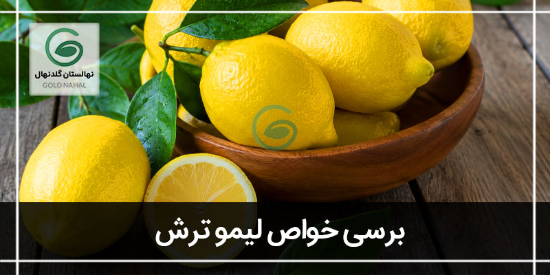 لیمو ترش