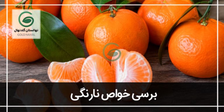 نارنگی