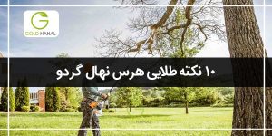 12نکته طلایی هرس نهال گردو تازه کاشته شده