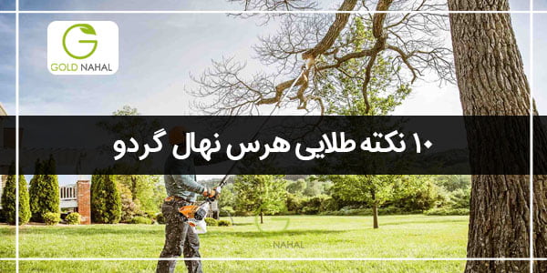هرس