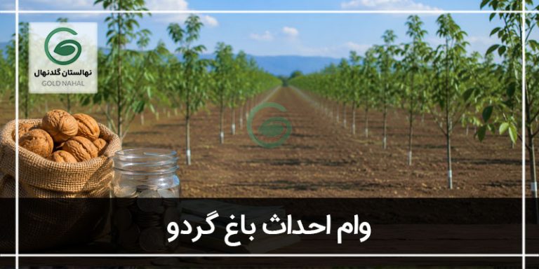 وام