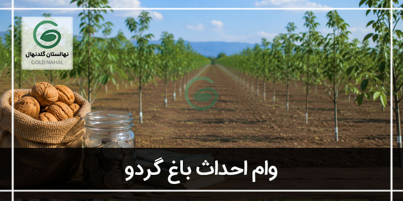 وام