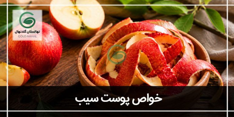 پوست سیب