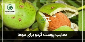 مضرات پوست گردو برای مو