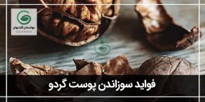سوزاندن پوست گردو