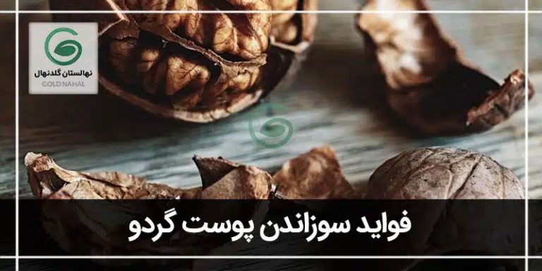 پوست گردو