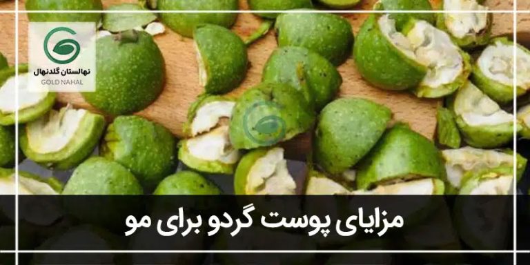 پوست گردو