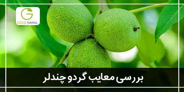 چندلر