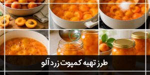 طرز تهیه کمپوت زردآلو(خواص کمپوت زردآلو)