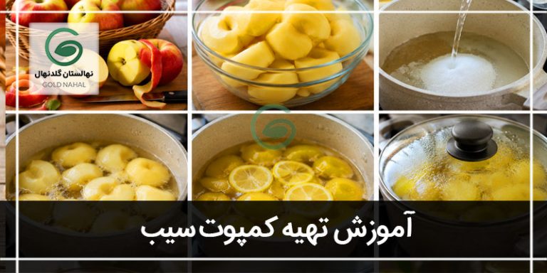 کمپوت سیب