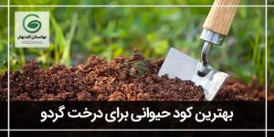 شناخت بهترین کود حیوانی برای نهال گردو