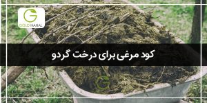 کود