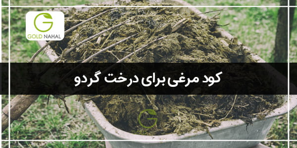 کود