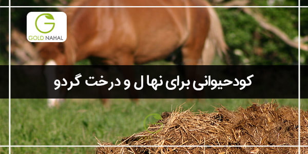 کود
