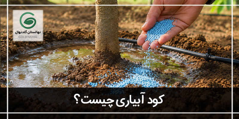 کود آبیاری