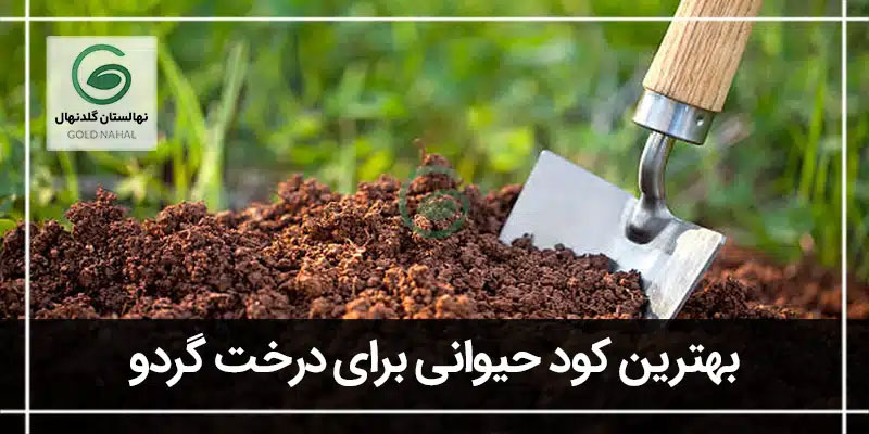 کود