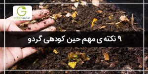 9 نکته مهم حین خرید کود برای درخت گردو