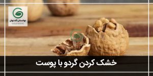 خشک کردن گردو با پوست