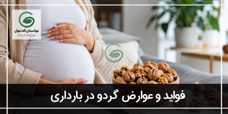 گردو در بارداری
