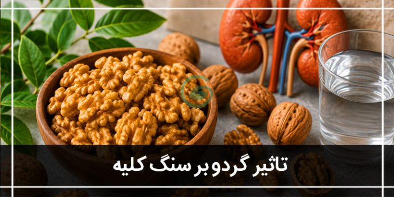 گردو و سنگ کلیه