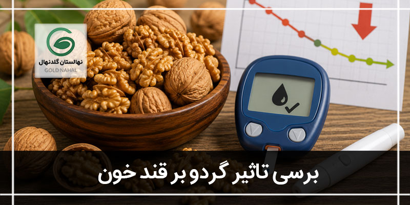 گردو و قند خون