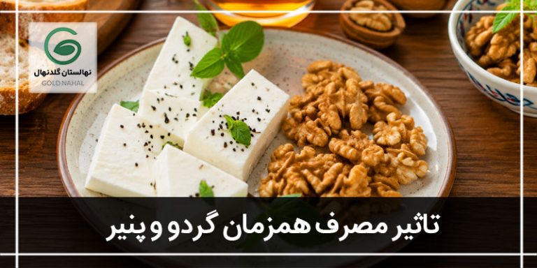 گردو و پنیر