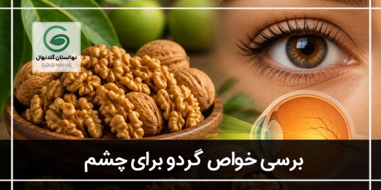 گردو و چشم