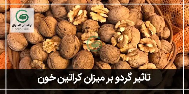 گردو و کراتین