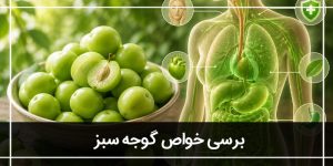 فواید گوجه سبز (خواص آلوچه)