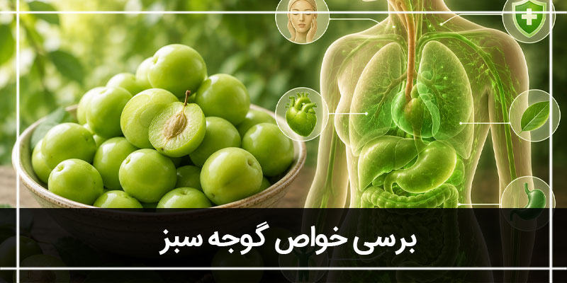 گوجه سبز