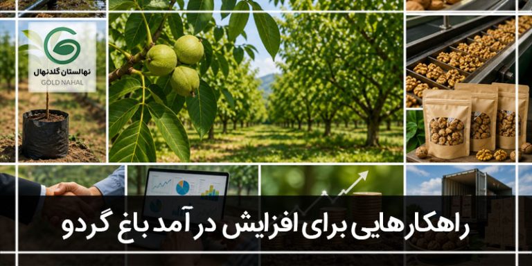 باغ گردو